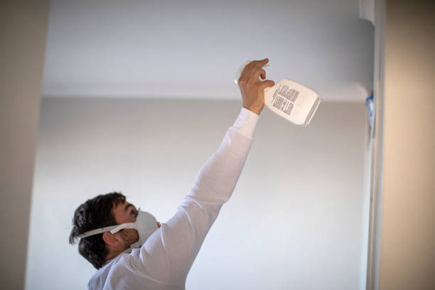 Best Affordable Mold Removal  in Bergenfield, NJ