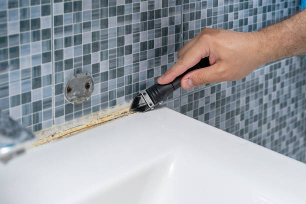 Best Mold Damage Repair  in Bergenfield, NJ