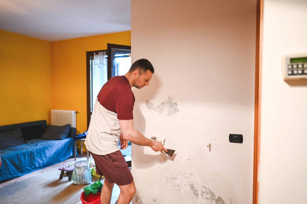 Best Mold Removal Process  in Bergenfield, NJ